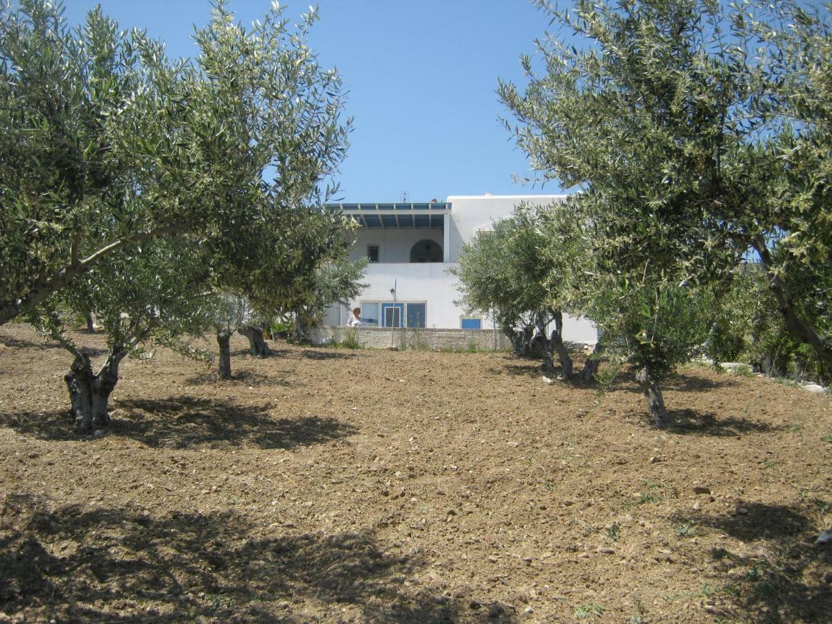 Kafkis House, Paros Villa Dhragoulas Eksteriør billede